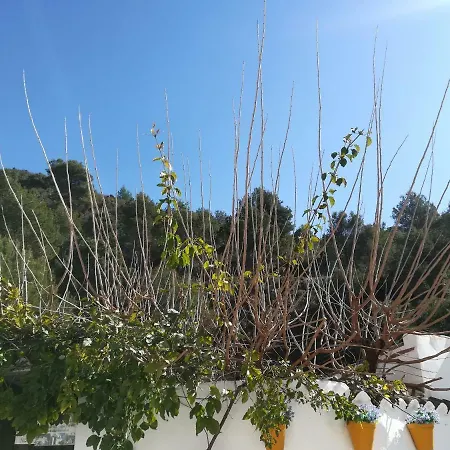 Country house Casa Ayo Frigiliana